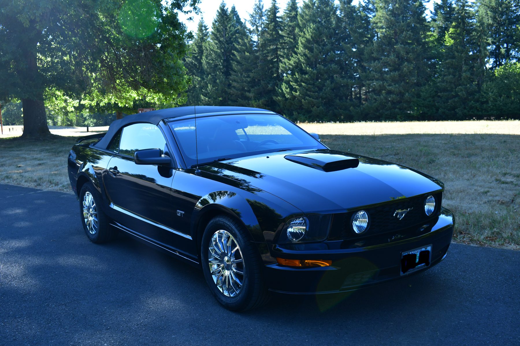 Front view, hood and headlights